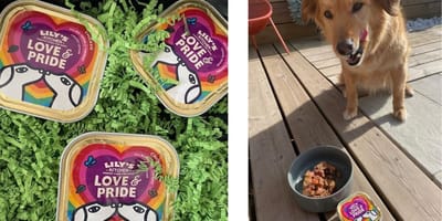 Love and Pride editie Lily's Kitchen