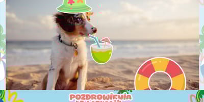 pies na pocztówce
