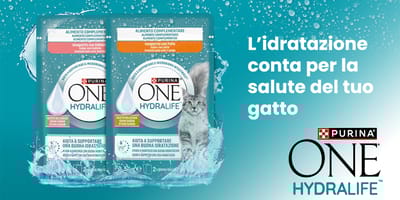 Sacchetto Hydralife con gatto
