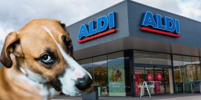 Pueden entrar perros en Aldi