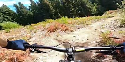 Biker auf dem Danimal North Trail