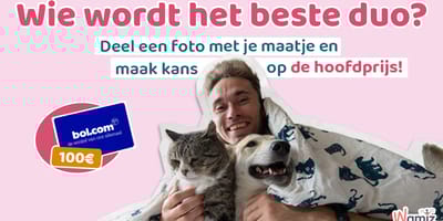 win 100 euro fotowedstrijd
