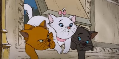 aristokatten namen