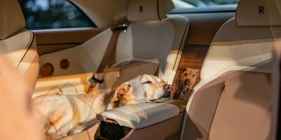Bailey hat einen eigenen Rolls Royce