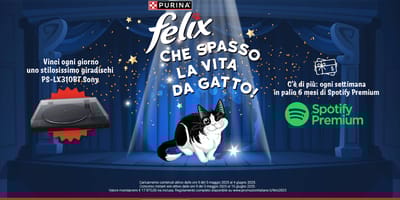 Il tuo gatto è divertente? Partecipa al nuovo concorso Felix “Che spasso la vita da gatto!” e vinci premi favolosi!