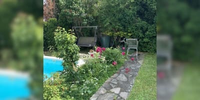 Puedes encontrar al gato escondido en este jardín en menos de 30 segundos