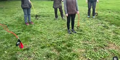 Teilnehmer beim Hobby Dogging