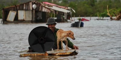 Hurrikan Melissa: Kubaner retten nicht nur sich, sondern auch geliebte Hunde