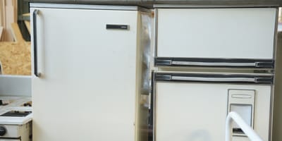 Schlimmer Fund im Kühlschrank