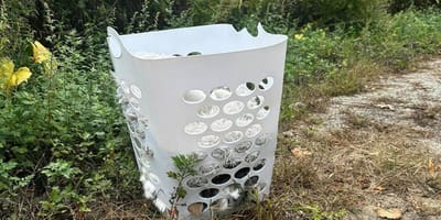 Una mujer descubre una cesta abandonada