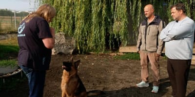 Martin Rütter und Detlev Steves im Tierheim