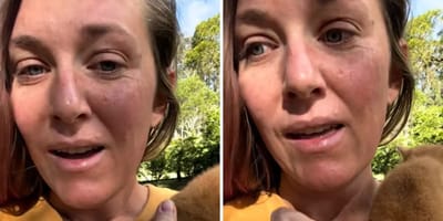 Frau findet Karton am Straßenrand