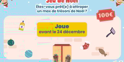 Participez à notre grand jeu de Noël et tentez de remporter des cartes cadeaux