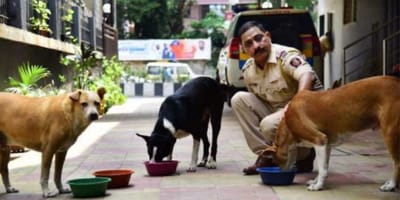 Ten indyjski policjant podczas pracy ratuje też bezdomne zwierzęta. Ocalił już ponad 3000 psów i kotów