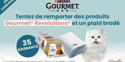 Concours : mettez des étoiles dans les yeux de votre chat avec la gamme marque GOURMET® Purina®