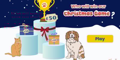 Enter our Christmas contest for a chance to win up to £50 in gift cards
