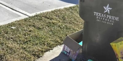 Mülltonne mit Abfallsäcken daneben