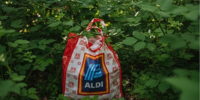 Un sac Aldi caché dans un buisson : en regardant à l'intérieur, une promeneuse est sous le choc