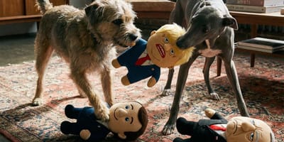 muñecos políticos para perros estresados