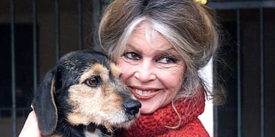 Brigitte Bardot mit Dackel