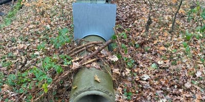 In dieser Lebendfalle wurde Teddy gefangen