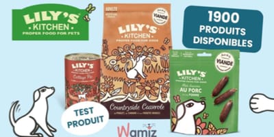 Inscrivez-vous à ce test produit et faites découvrir à votre chien la gourmandise selon Lily’s Kitchen !