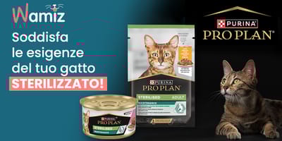 Scopri l'alimentazione per il benessere del tuo gatto sterilizzato con l'esclusivo kit PURINA® PRO PLAN® Sterilised!