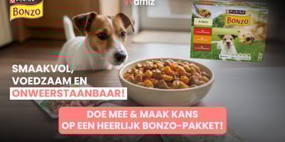 Gratis Bonzo winnen