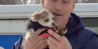 Le facteur s'arrête devant sa maison, mais ce n'est pas pour déposer le courrier : la vidéo qui émeut la Toile