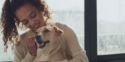 Un chien qui caline son humaine
