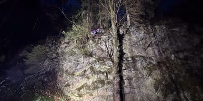 Hunderettung am Berg