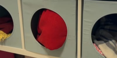 Katzenversteck im Tierheim