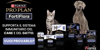 Partecipa al test del probiotico PRO PLAN® FortiFlora® per sostenere il benessere intestinale di cani e gatti!