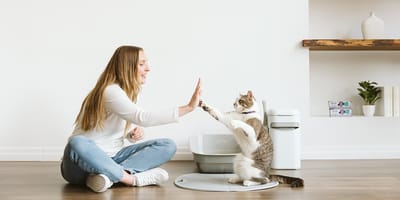 “Je ne pourrais plus m’en passer” : ce que pensent vraiment nos lecteurs de la Litter Genie Platinum