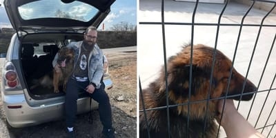 Agent redt zwerfhond en neemt een hartverwarmend besluit