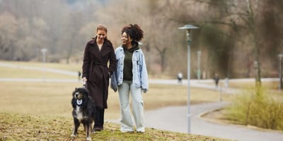 Balade des chiens Agria 2026 : et si une photo de votre chien pouvait aider des animaux abandonnés ?