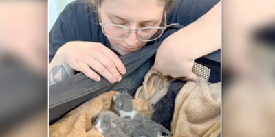 Tragödie im Kreißsaal: Tierheim-Mitarbeiter ringen nach Klinik-Anruf um Worte