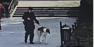 pies i policjant