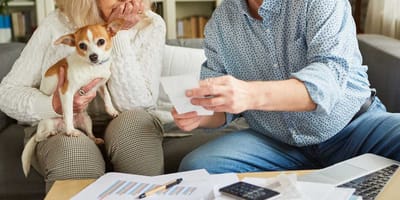Klamme Kommunen: Wird die Hundesteuer erhöht?