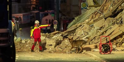 Gasexplosion in Görlitz: Diese Hunde sind jetzt die letzte Hoffnung auf ein Wunder!