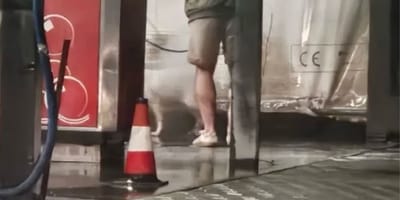 Właściciel chciał wykąpać psa, ale pomysł na jaki wpadł, przeraził Gdańszczan