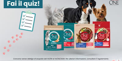 Partecipa al Programma 3 settimane Purina ONE: fai il quiz e prova a diventare tester!
