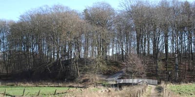 Bad-Schwartau Riesebusch Lange-Hörn