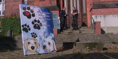 Schild mit Buddys Bild vor dem Amtsgericht Flensburg