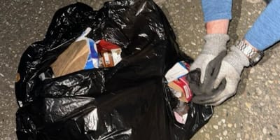 Kittens abandoned in a bin bag