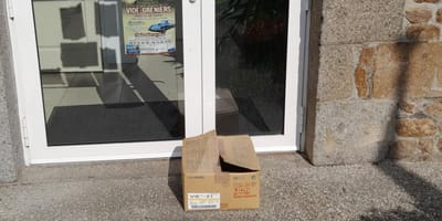 Abandon de chatons