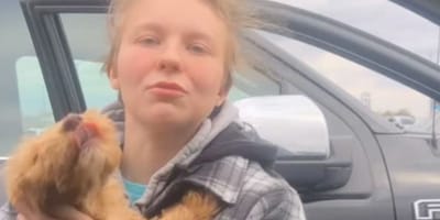 A returned Goldendoodle puppy