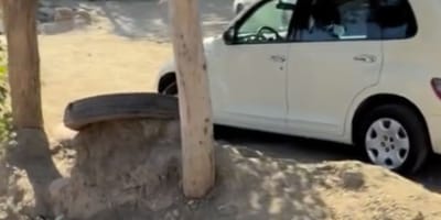 Am Straßenrand ausgesetzt