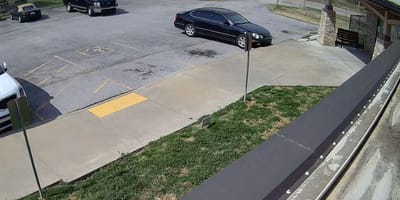 Achtergelaten op een parkeerplaats