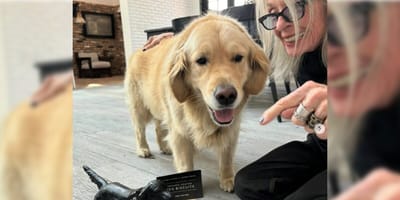 Actress Diane Keaton and dog